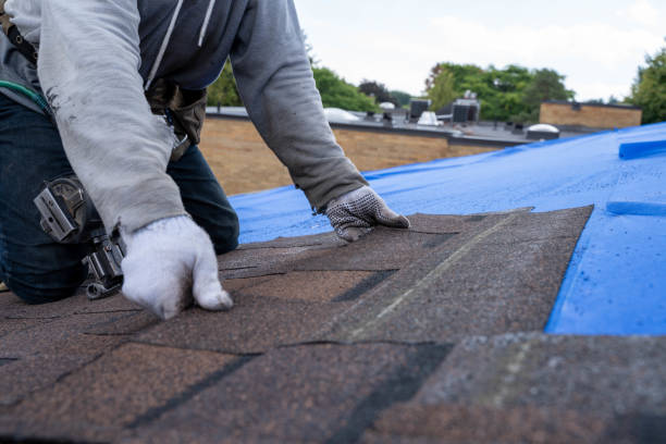 Best Emergency Roof Repair  in Dexter, NM