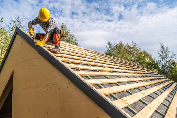 Best Roof Maintenance Services  in Dexter, NM