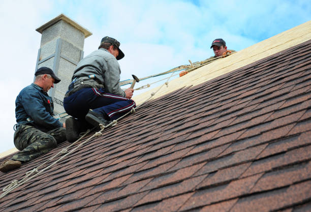 Best New Roof Installation  in Dexter, NM